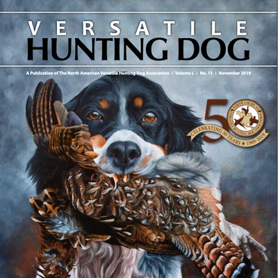 Versatile Hunting Dog - 50th Anniversary Cover Feature
