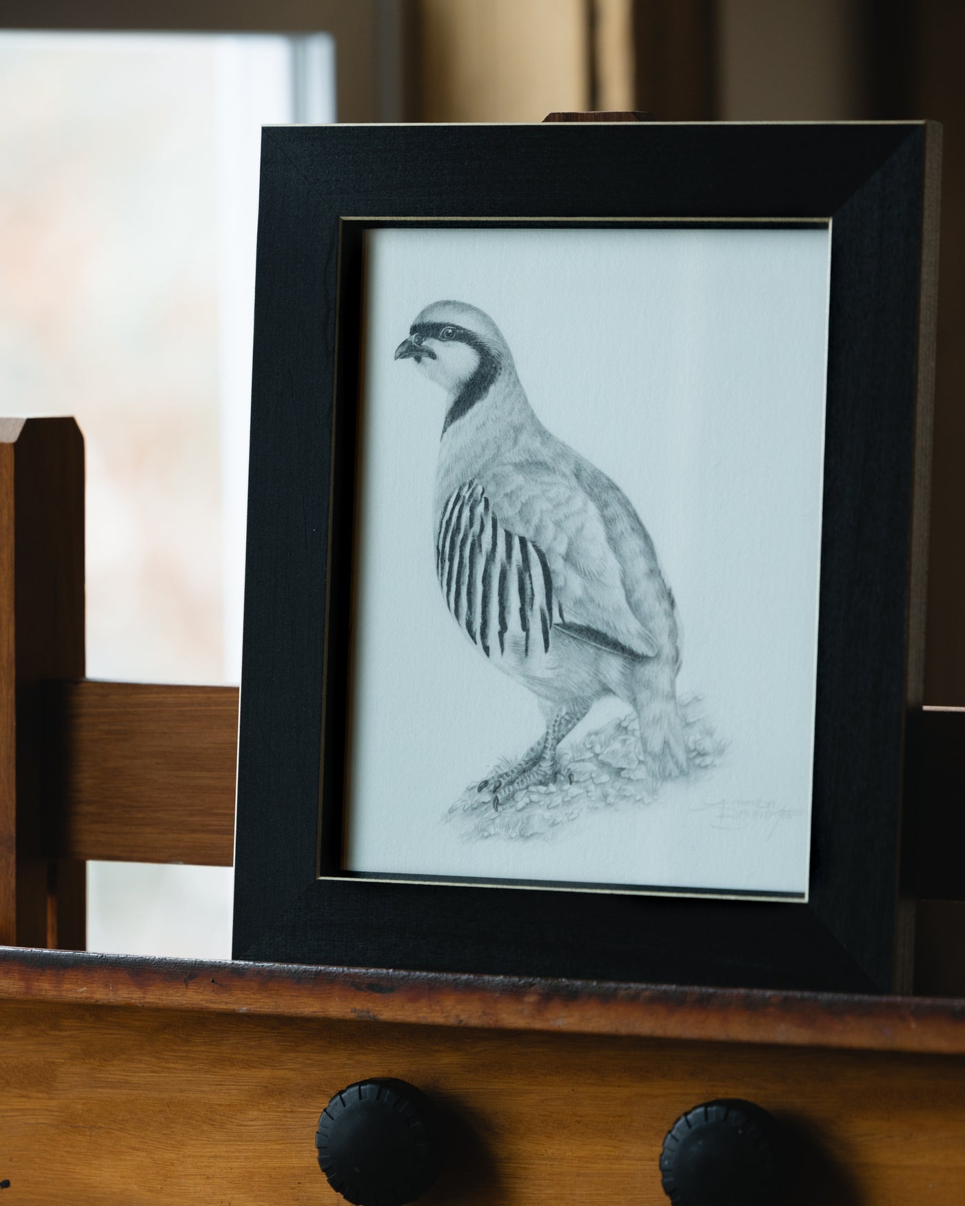 "Mountain Settler" Original