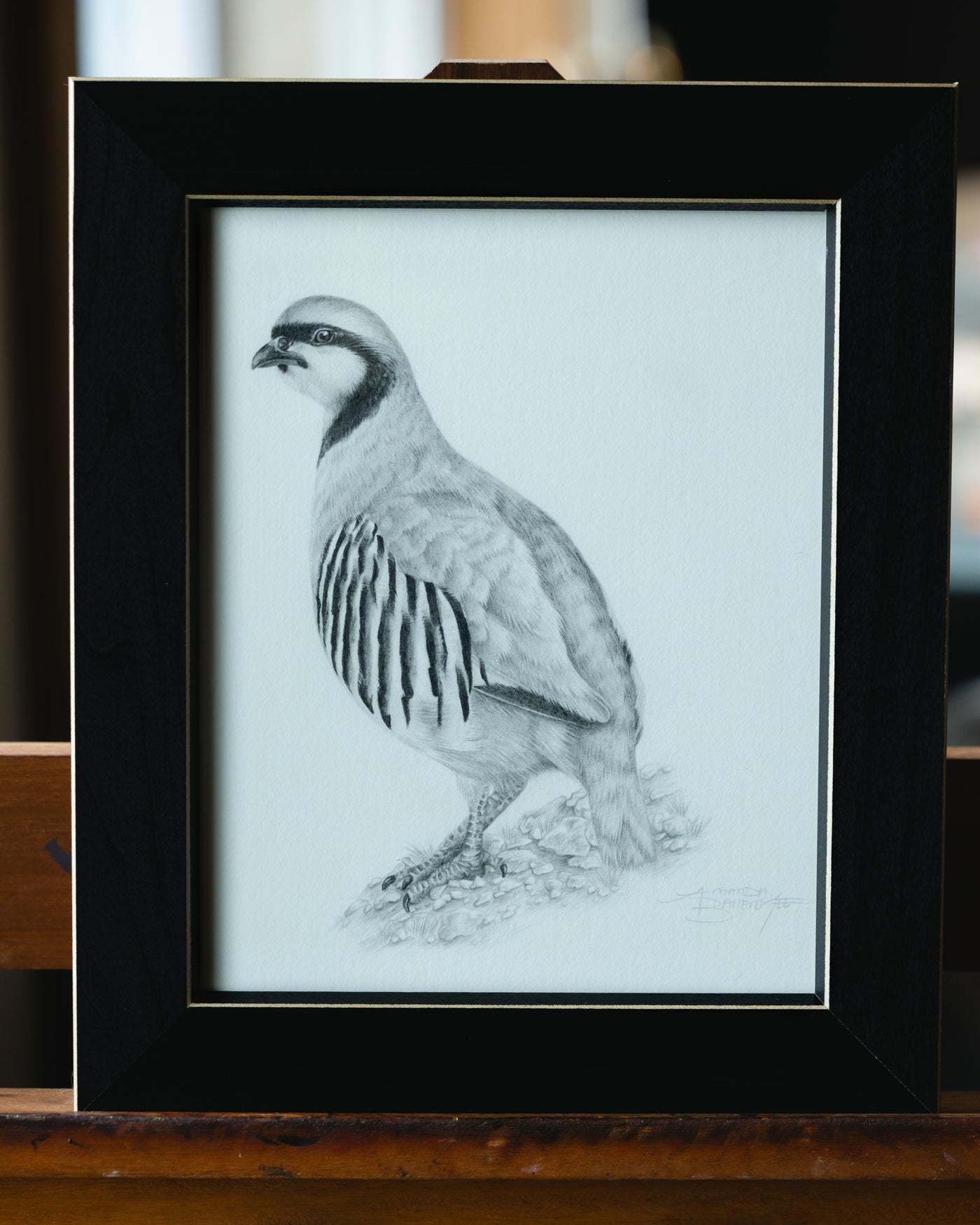 "Mountain Settler" Original