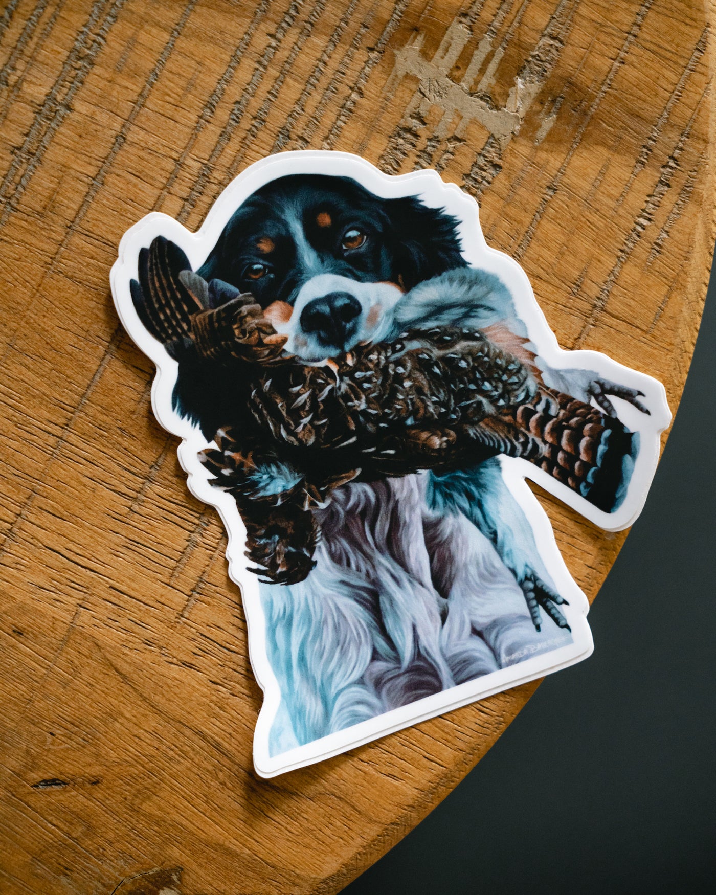 Setter & Grouse Decal